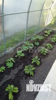 Дом 74м², 2-этажный, участок 6 сот.