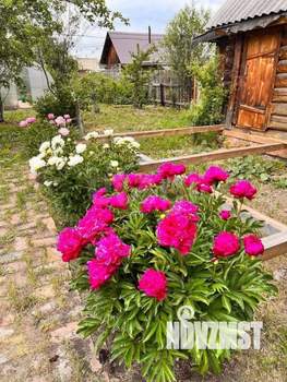 Дом 20м², 1-этажный, участок 5 сот.