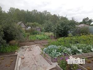 Дача 50м², 1-этажный, участок 8 сот.