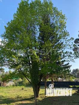 Дом 220м², 2-этажный, участок 10 сот.