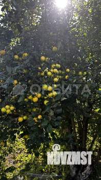 Дом 22м², 2-этажный, участок 6 сот.