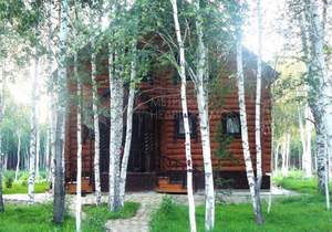 Дом 160м², 2-этажный, участок 49 сот.