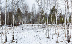 Дом 90м², 1-этажный, участок 5 сот.