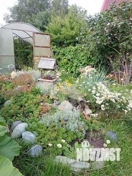 Дача 50м², 1-этажный, участок 4 сот.