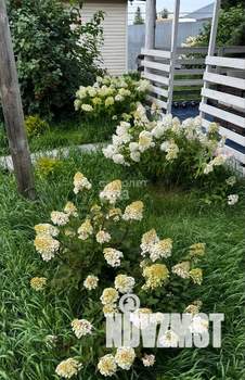 Дом 151м², 1-этажный, участок 13 сот.