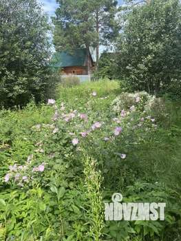 Дом 39м², 2-этажный, участок 7 сот.