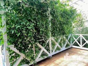 Дом 210м², 3-этажный, участок 6 сот.