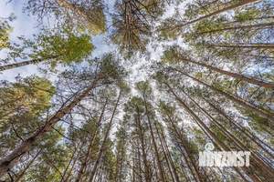 Дом 30м², 2-этажный, участок 10 сот.