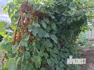 Дом 49м², 1-этажный, участок 16 сот.