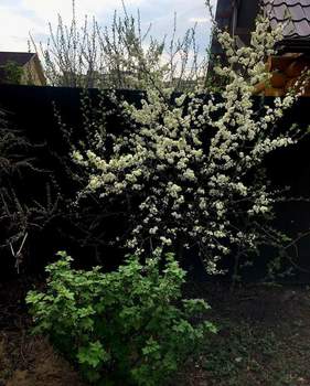 Дом 210м², 3-этажный, участок 6 сот.