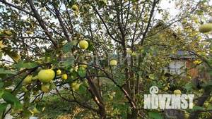 Дом 25м², 2-этажный, участок 5 сот.