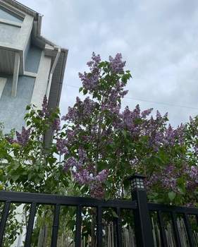 Дом 210м², 3-этажный, участок 6 сот.