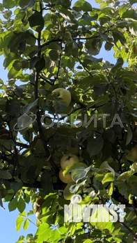 Дом 120м², 2-этажный, участок 7 сот.