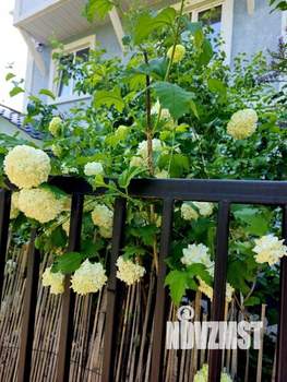 Дом 210м², 3-этажный, участок 6 сот.