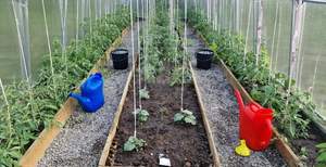 Дача 30м², 2-этажный, участок 5 сот.