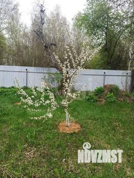 Дом 50м², 2-этажный, участок 22 сот.