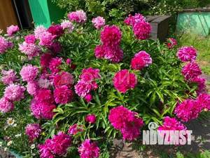 Дом 12м², 2-этажный, участок 5 сот.