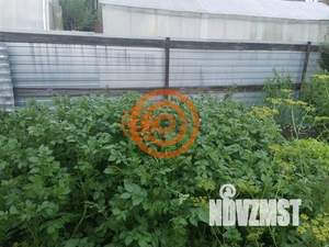 Дом 20м², 1-этажный, участок 5 сот.