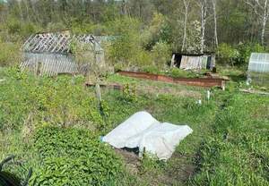 Дом 30м², 1-этажный, участок 6 сот.