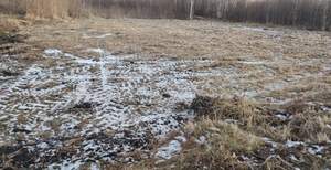 Дом 100м², 2-этажный, участок 7 сот.