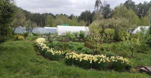 Дом 10м², 1-этажный, участок 6 сот.