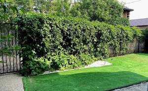 Дом 210м², 3-этажный, участок 6 сот.