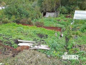 Дом 15м², 1-этажный, участок 6 сот.