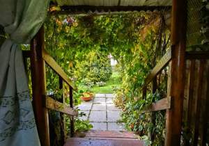 Дом 60м², 2-этажный, участок 6 сот.