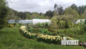 Дом 10м², 1-этажный, участок 6 сот.