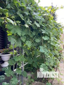 Коттедж 258м², 3-этажный, участок 6 сот.