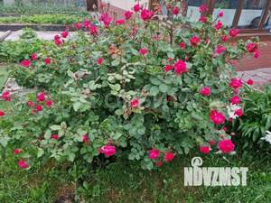 Дом 120м², 2-этажный, участок 6 сот.