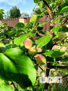 Дом 140м², 2-этажный, участок 9 сот.