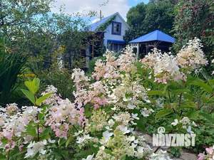 Дом 24м², 1-этажный, участок 5 сот.