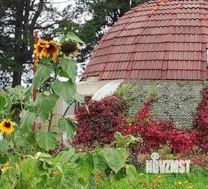 Дом 77м², 1-этажный, участок 100 сот.