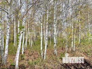 Дом 97м², 2-этажный, участок 8 сот.