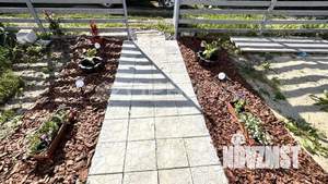 Дом 65м², 2-этажный, участок 6 сот.