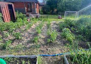 Дом 56м², 2-этажный, участок 8 сот.