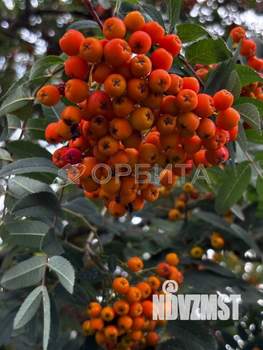 Дом 30м², 2-этажный, участок 4 сот.