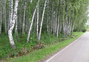 Дом 363м², 3-этажный, участок 18 сот.