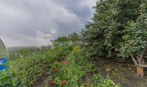 Дача 50м², 1-этажный, участок 8 сот.