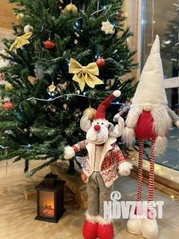 Дом 100м&sup2;, 1-этажный, посуточно, 