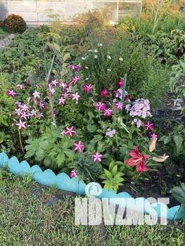 Дом 30м&sup2;, 1-этажный, на длительный срок, 