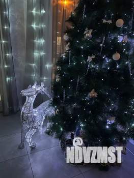 Дом 100м&sup2;, 1-этажный, посуточно, 