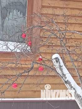 Дом 43м&sup2;, 1-этажный, посуточно, 