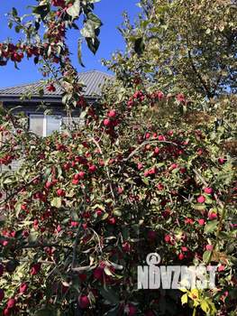 Дом 40м&sup2;, 2-этажный, посуточно, 