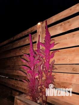 Дом 120м&sup2;, 1-этажный, посуточно, 