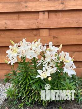 Дом 54м&sup2;, 2-этажный, посуточно, 