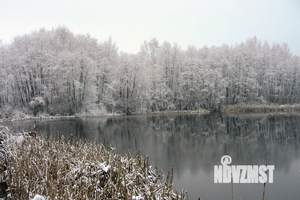 Дача 20м², 1-этажный, участок 5 сот.  
