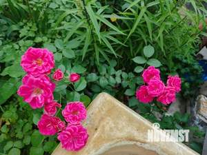 Дом 28м&sup2;, 1-этажный, участок 8 сот.  