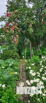 Дом 20м², 1-этажный, участок 5 сот.  